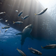 Image for article titled Spectacular winning images from Nat Geo's 2013 travel photo contest